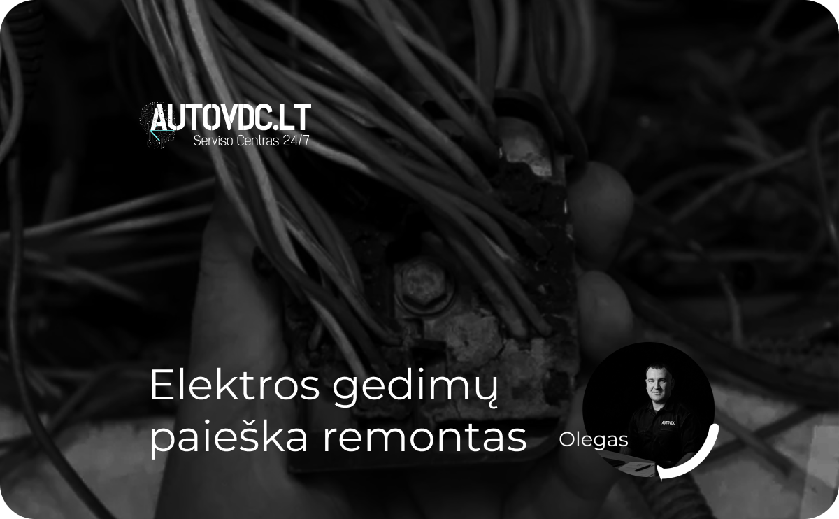 Olego servisas Image