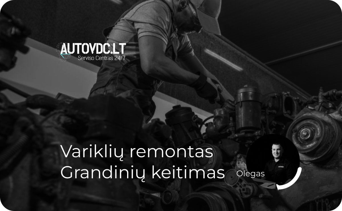 Olego servisas Image