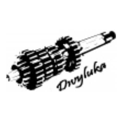 ﻿UAB "Divyluka" logo