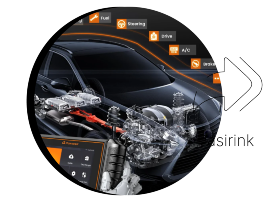 Hibridų diagnostika Image